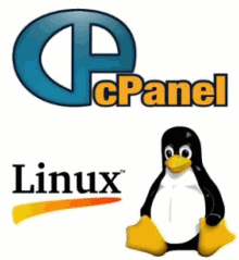 cPanel Web Hosting with Web One Hosting - Reliable UK Web Host with the Best cPanel Web Hosting